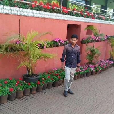 Rahul k