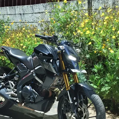 Sreenath dr