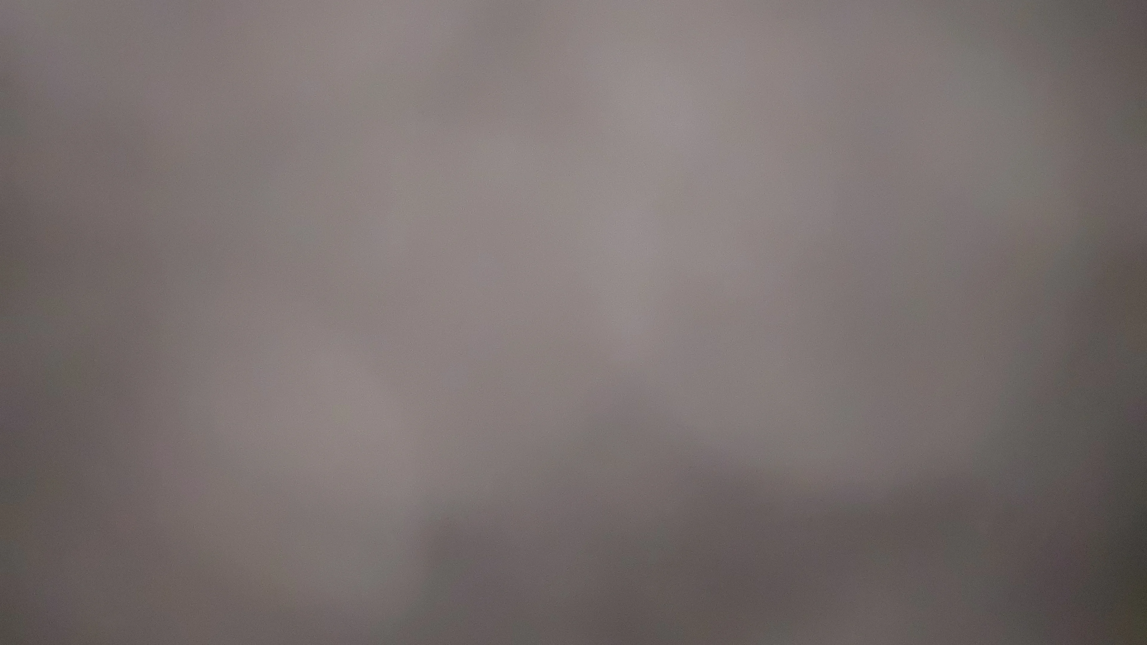 Photo of vashu