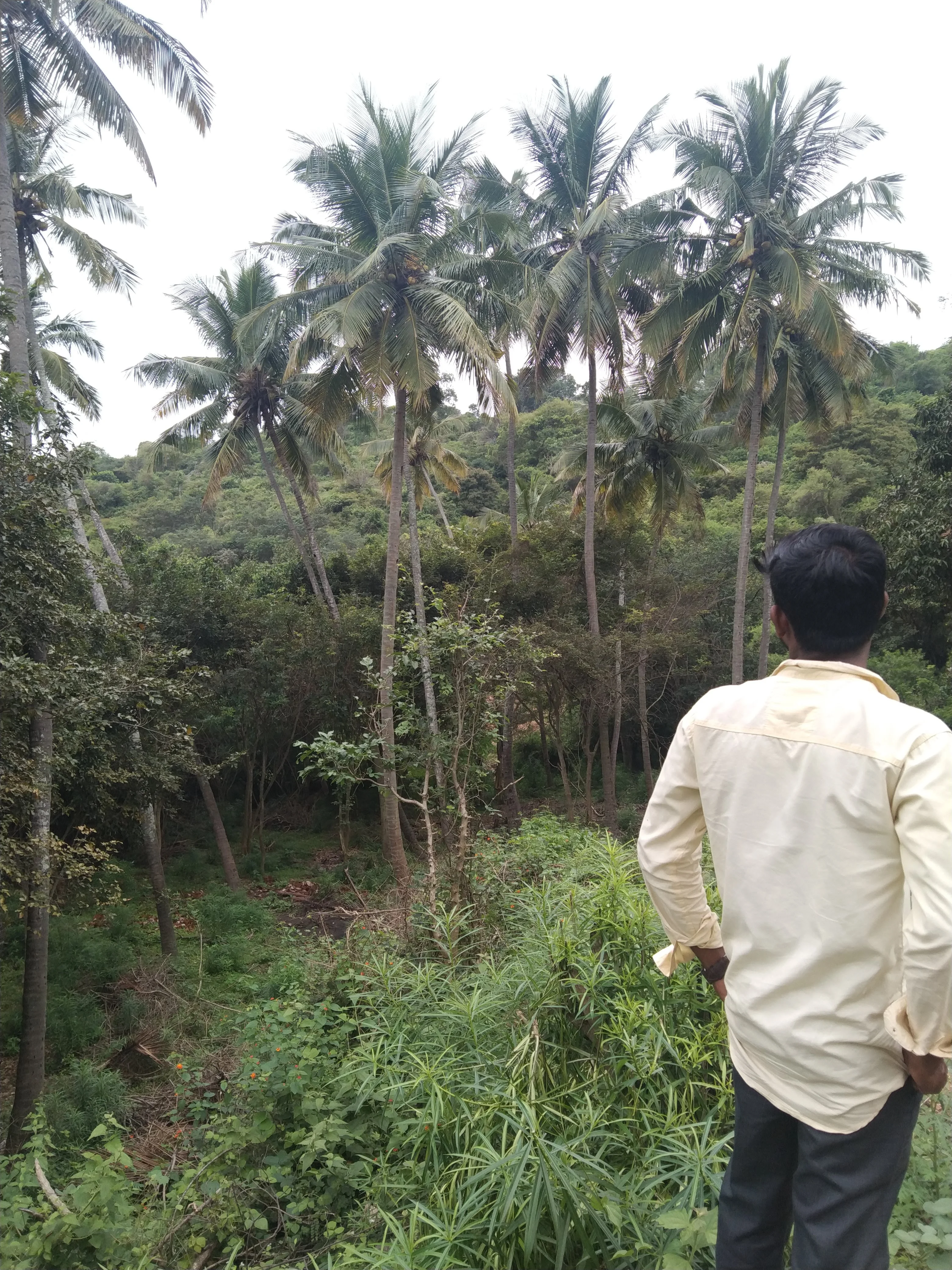 Photo of Vetri
