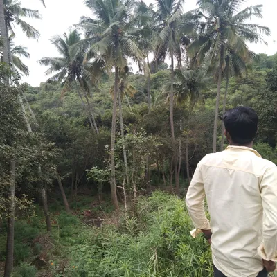 Vetri