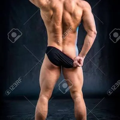 salembull