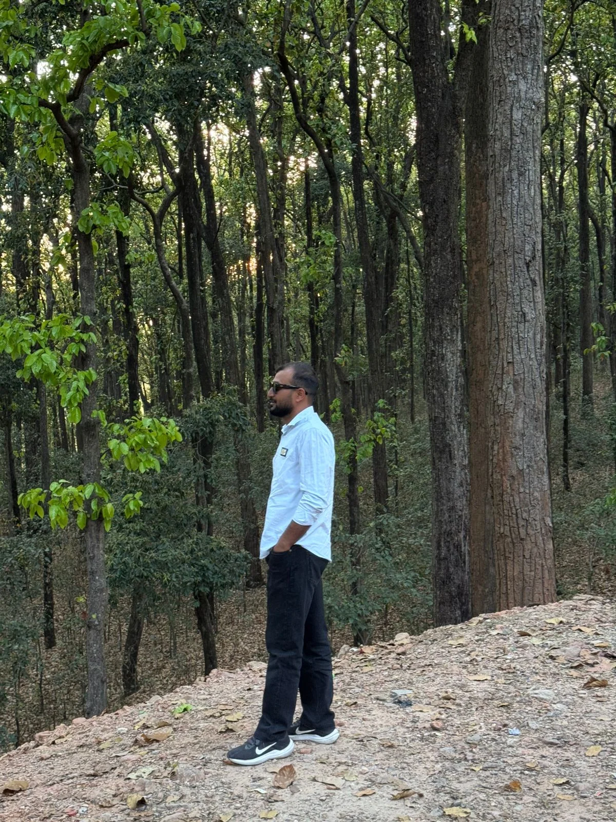 Kohli Sushil - gigolo in Gurugram - Yooo.App